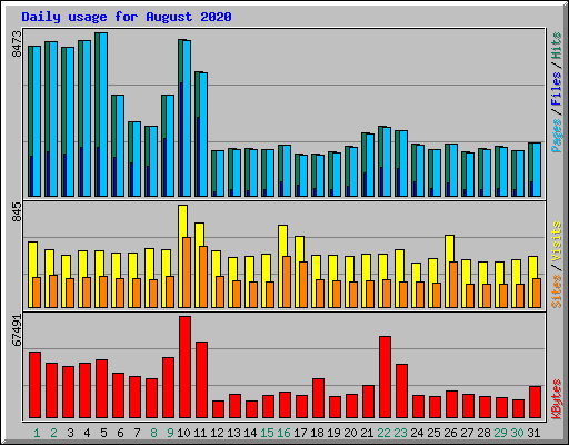 Daily usage for August 2020