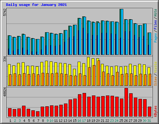 Daily usage for January 2021