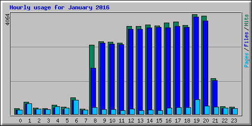 Hourly usage for January 2016