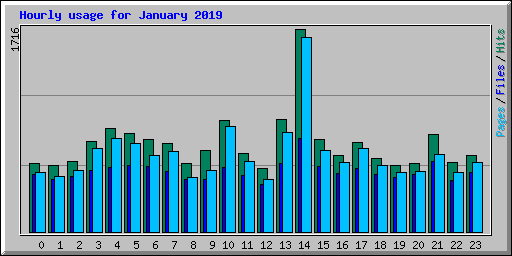 Hourly usage for January 2019