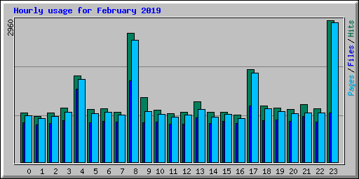 Hourly usage for February 2019