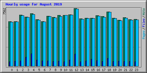 Hourly usage for August 2019