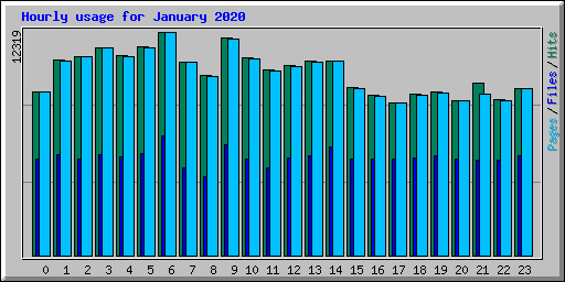 Hourly usage for January 2020