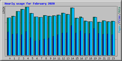 Hourly usage for February 2020