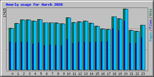 Hourly usage for March 2020