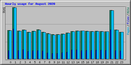 Hourly usage for August 2020