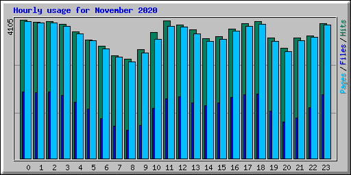 Hourly usage for November 2020