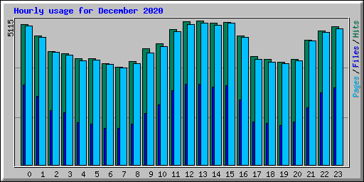 Hourly usage for December 2020