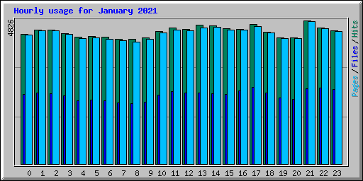 Hourly usage for January 2021