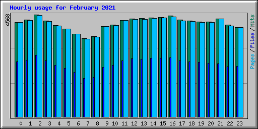 Hourly usage for February 2021