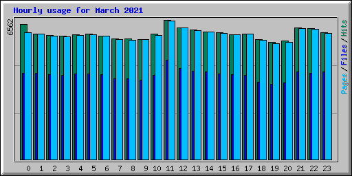 Hourly usage for March 2021