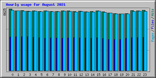 Hourly usage for August 2021