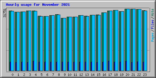 Hourly usage for November 2021