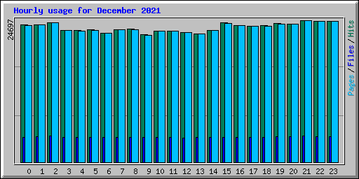 Hourly usage for December 2021