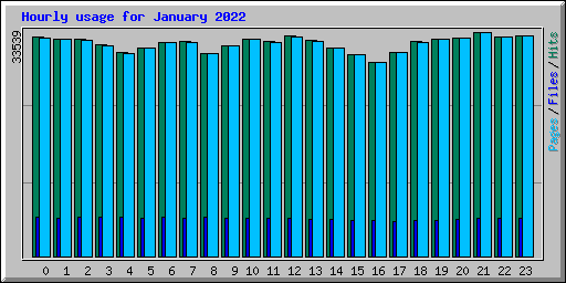 Hourly usage for January 2022