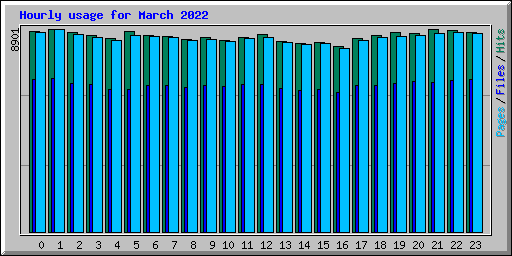 Hourly usage for March 2022